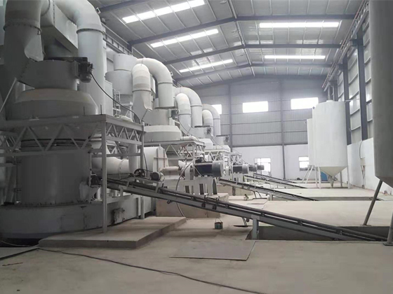 R型擺式磨粉機(jī)